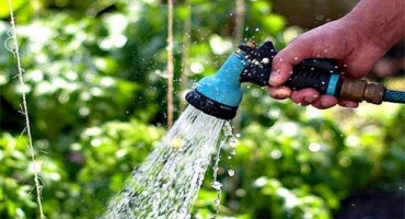 Jak často zalévat okurky, kdy a v jakou dobu je to lepší